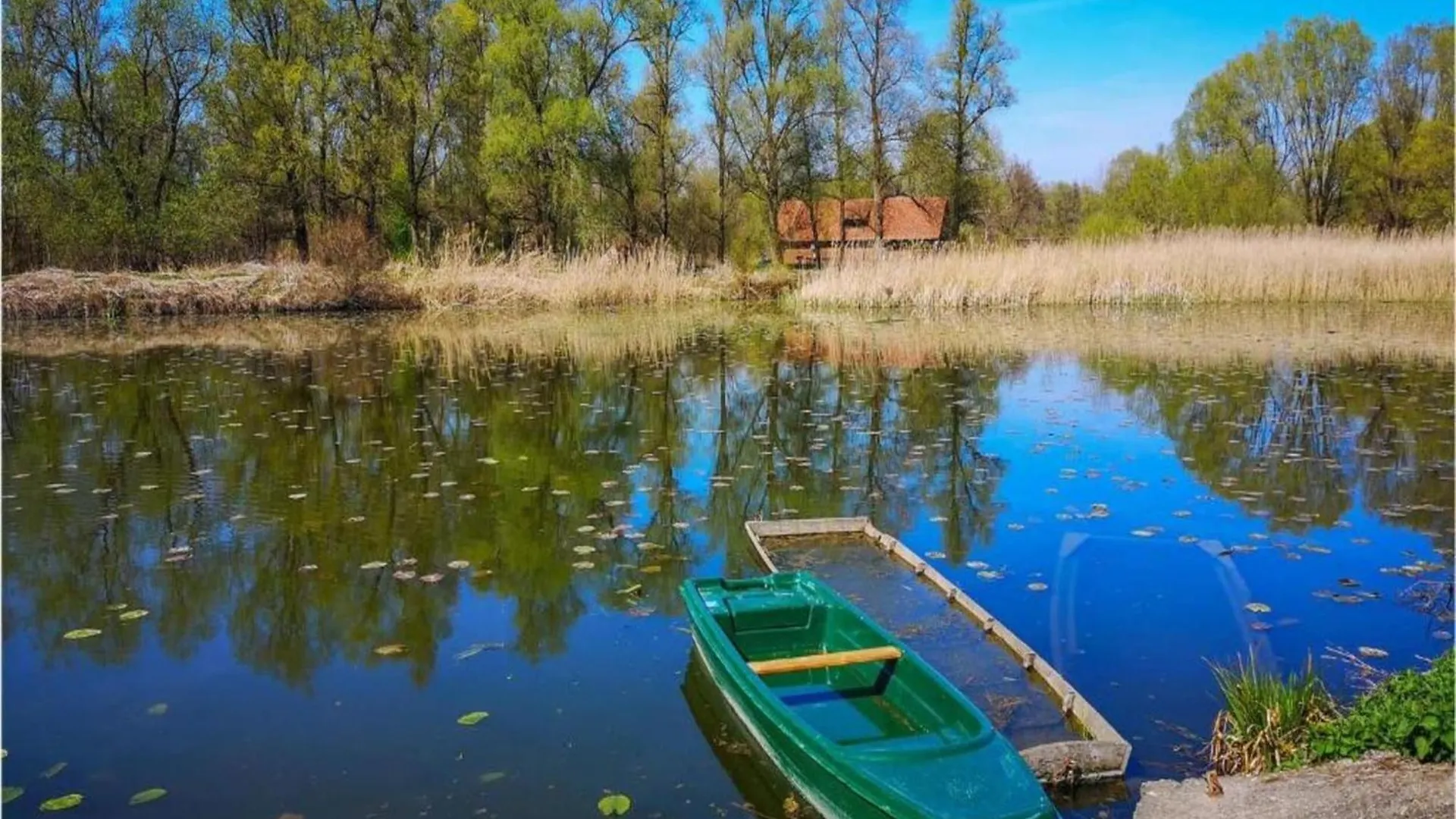 Charming Holiday Home With Private Pool Islam Latinski
